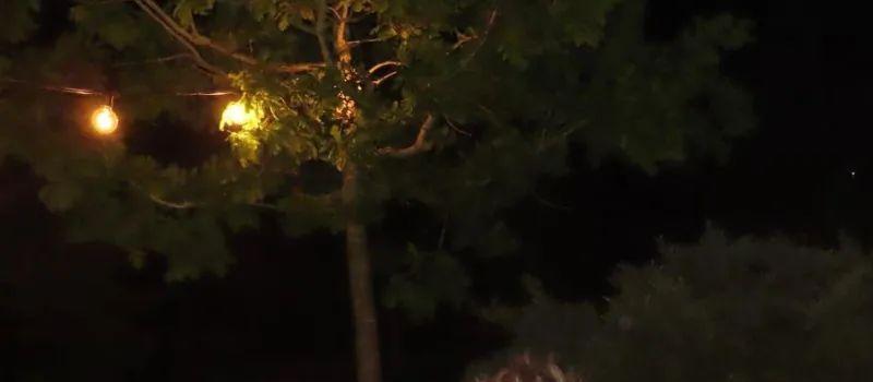 内卷25年，贝克汉姆夫妇放弃鸡娃：靠儿子养老就是等死！(图19)