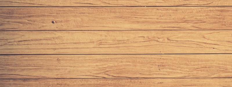 49岁徐静蕾近况曝光：晒高端泳池照，定居美国6年，已吃成胖美人(图1)