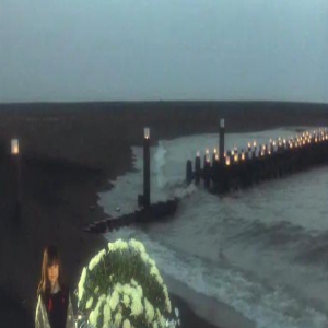 形式美巅峰，铃木清顺把死亡拍出日本精神