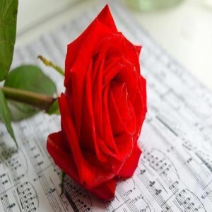 遇见你，不知道是缘还是劫，我真的好想好想你